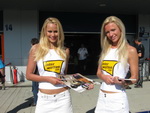 Our favourite paddock girls