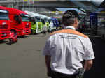 The paddock