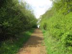 The total walk is about 500m....