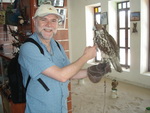 Falcons in the market