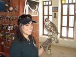Qatar MotoGP 2008