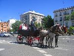 Seville